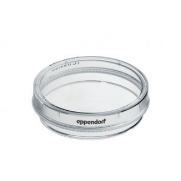 Eppendorf Cell Culture Dishes